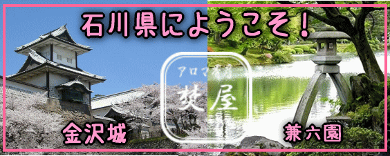 金沢城と兼六園