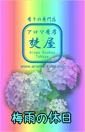 梅雨の休日