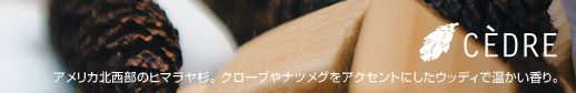セダー