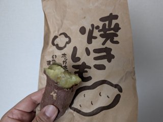 ★2025年8月23日＜本日の作業＞ぽち香作成作業