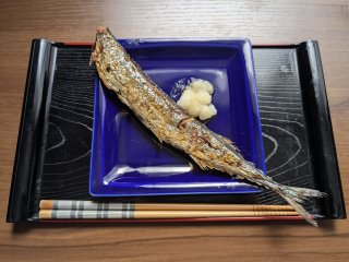 ★2025年9月15日＜本日の作業＞連休最終、メルマガ発行