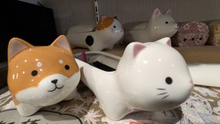 ★2026年08月10日＜金沢のお香とアロマ香り専門店｜アロマ香房焚屋。本日の日報＞
