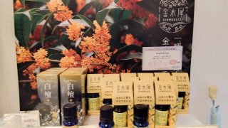 ★2025年11月2日＜本日の作業＞月初処理、動画編集、在宅ワーク