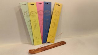 ★2026年1月23日＜本日の作業＞動画後処理、伝票経費、雪透かし