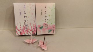 ★2026年1月29日＜本日の作業＞焚屋OFFICE整頓、雪かき