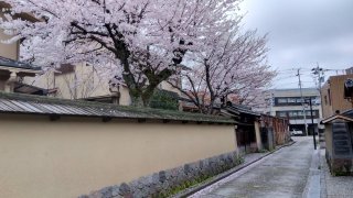 ★2026年04月5日＜金沢のお香とアロマ香り専門店｜アロマ香房焚屋。本日の日報＞