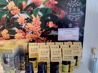 ★2025年10月02日＜本日の作業＞月初処理各種、旅行計画、本日在宅ワーク