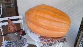 ★2025年10月10日＜本日の作業＞事務処理、本日在宅ワーク