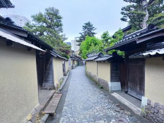 ★2025年5月6日-店主焚屋の作業奮闘記（5/5-5/12間）