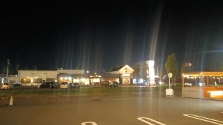 ★2025年11月13日＜本日の作業＞動画編集後処理、ぽち香中身詰め、在宅ワーク