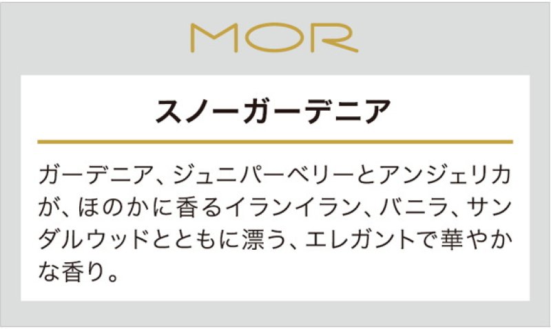 画像6: MOR（モア）ロールオンパフューム　 (6)