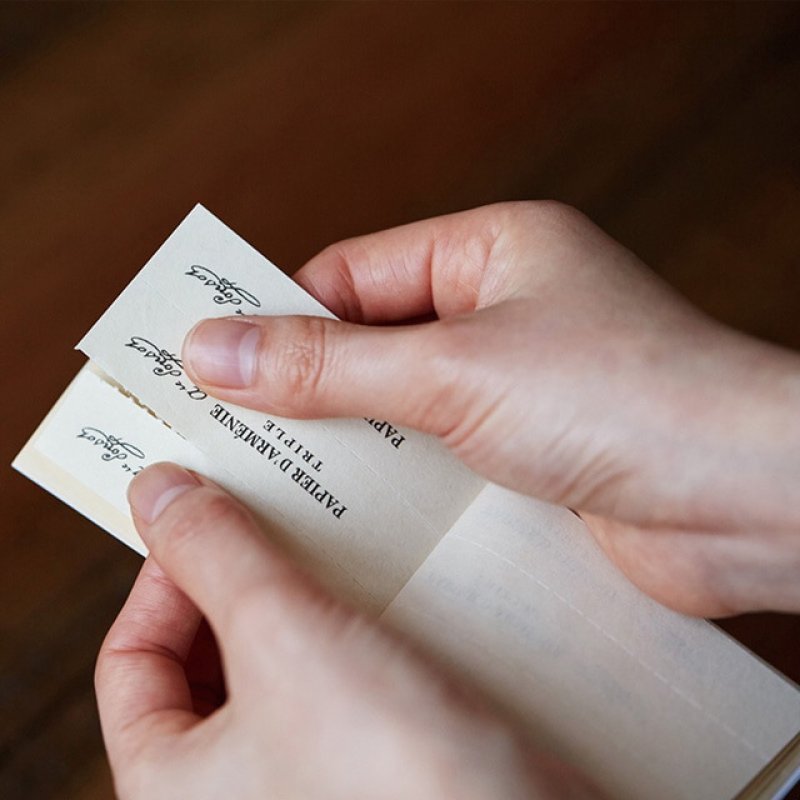 画像7: 紙のお香　パピエダルメニイ　空気の浄化に最適 (7)