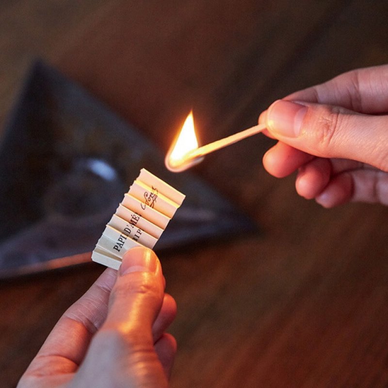 画像6: 紙のお香　パピエダルメニイ　空気の浄化に最適 (6)