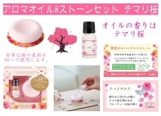 画像5: SAKURAシリーズ (5)