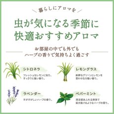 画像8: 100%精油 デイリーディライト (8)