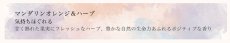 画像4: デイリーディライト 天然ハーブ・ロールオンアロマ (4)