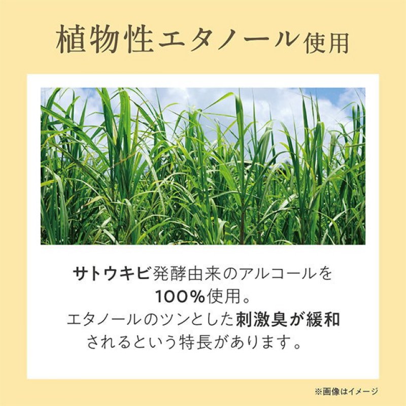 画像6: 金木犀の香水（オードパルファム） (6)