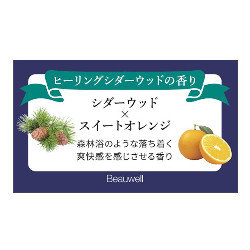 画像6: Beauwell アロマミスト (6)