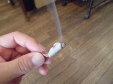 画像2: 薫香　焚屋ホワイトセージ (2)