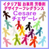 ギフトに最適） ボルネオ産 香木 沈香 刻み-沈香(じんこう)