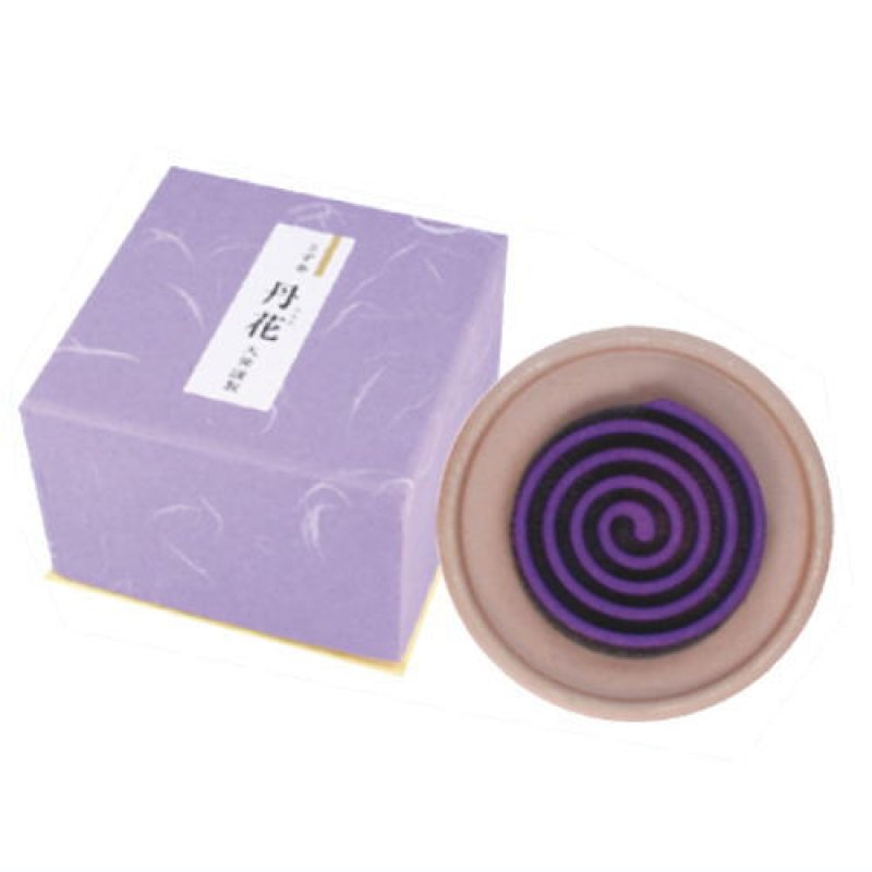 画像2: 紫丹花　大発 (2)