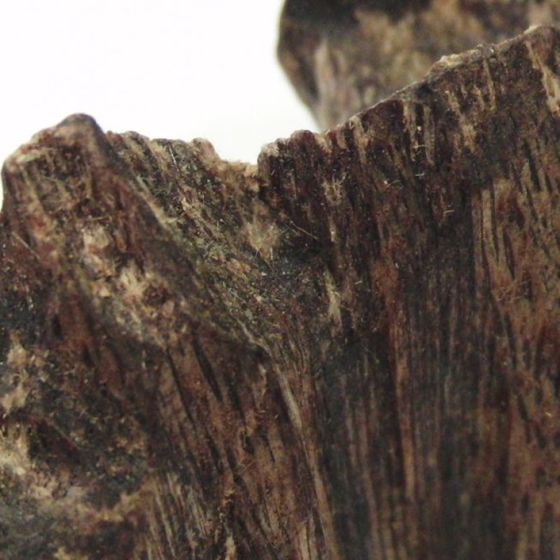 画像9: お香-香木-伽羅　（グラム・形状）売り　(オーダー品)　 (9)