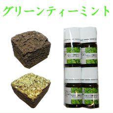 画像20: G-CUBE　詰替え用　香り補充用オイル (20)