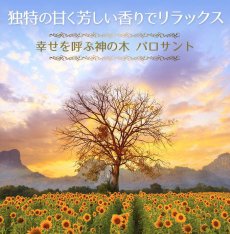 画像10: パロサントのお香「百楽香」 (10)