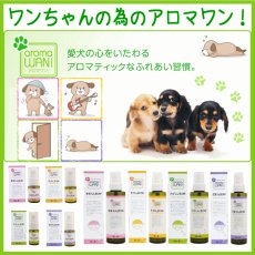 画像2: アロマワン！ワンちゃんの為のアロマ (2)