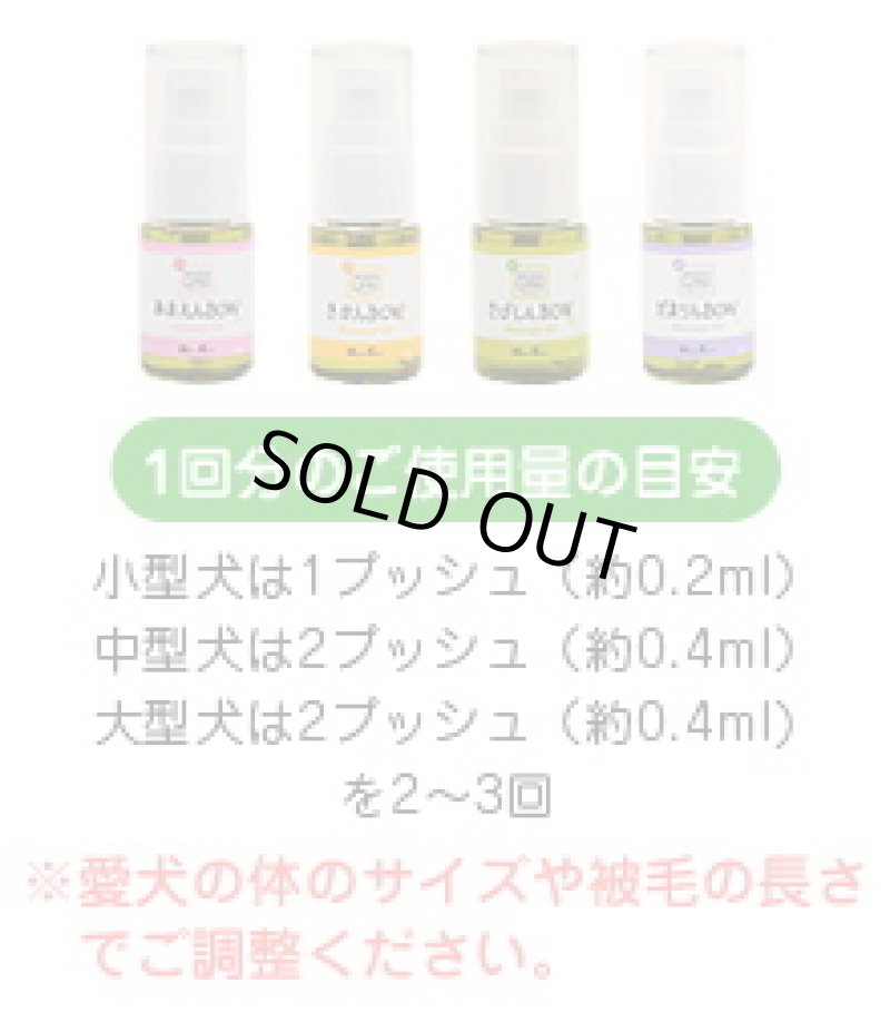 画像4: アロマワン！ワンちゃんの為のアロマ (4)