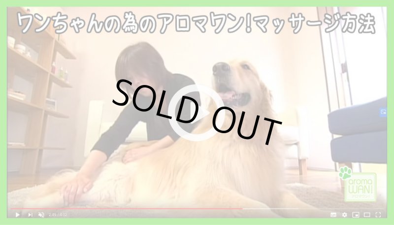 画像20: アロマワン！ワンちゃんの為のアロマ (20)