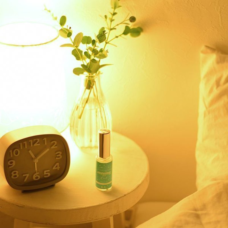 画像6: アンミングプラス クール (6)