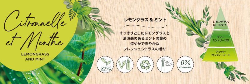 画像6: インテリアガーデンナチュール (6)