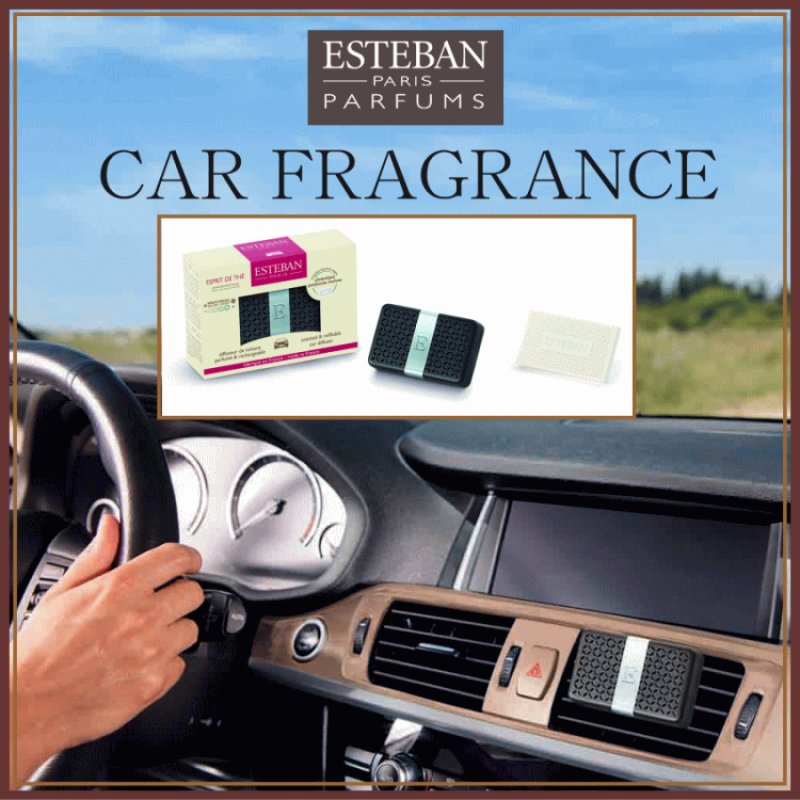 画像1: ESTEBANカーフレグランス (1)
