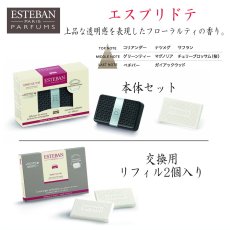 画像10: ESTEBANカーフレグランス (10)