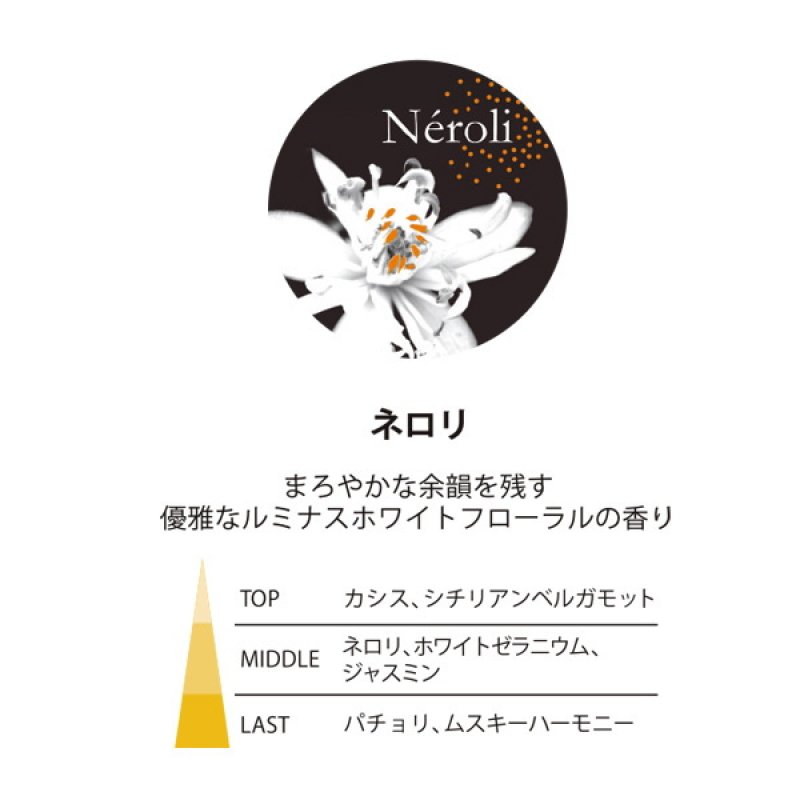 画像4: ESTEBANカーフレグランス (4)