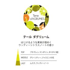 画像3: ESTEBANカーフレグランス (3)