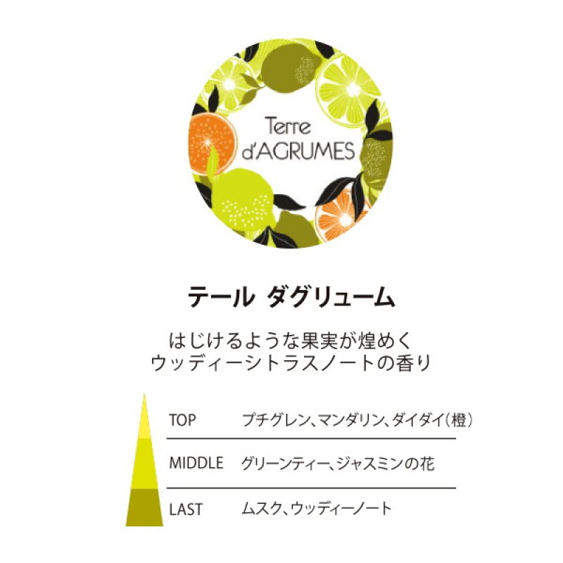 画像3: ESTEBANカーフレグランス (3)