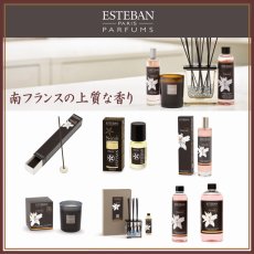 画像1: ESTEBANクラシック (1)