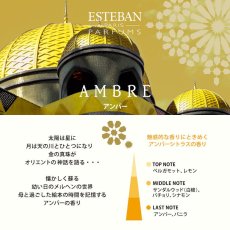 画像4: ESTEBANクラシック (4)