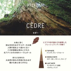 画像5: ESTEBANクラシック (5)