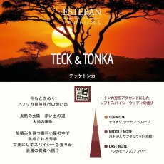 画像6: ESTEBANクラシック (6)