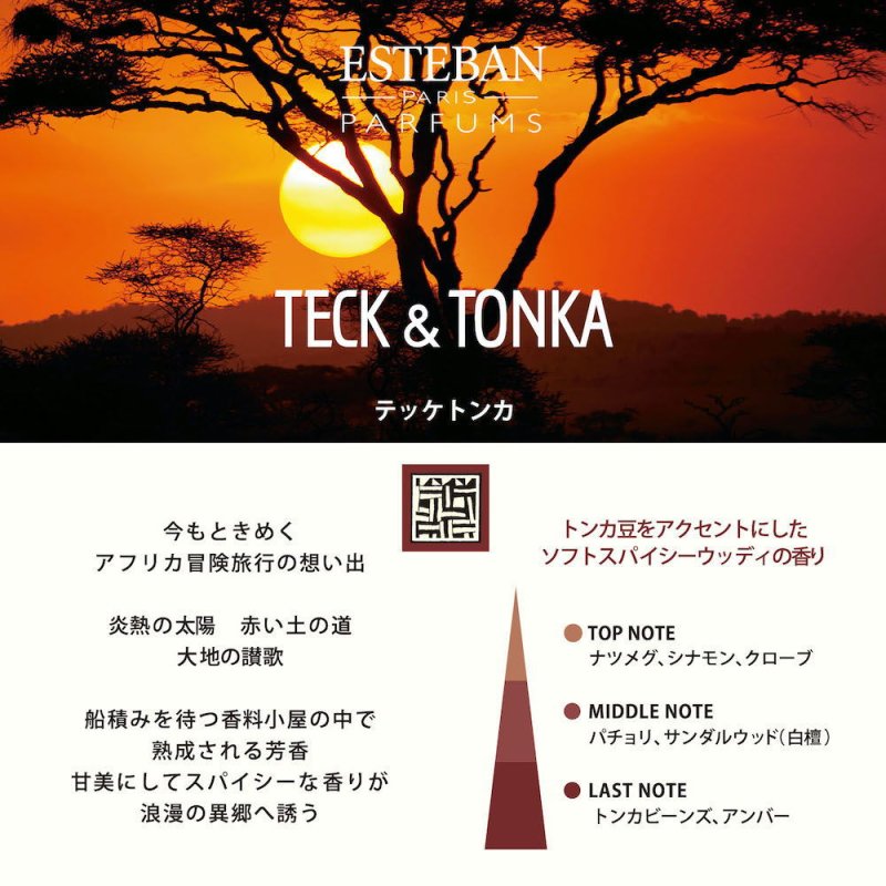 画像6: ESTEBANクラシック (6)