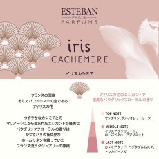 画像2: ESTEBANクラシック (2)