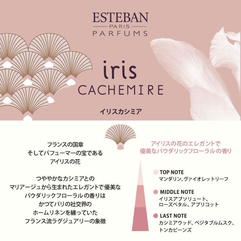 画像2: ESTEBANクラシック (2)