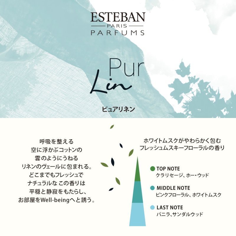 画像8: ESTEBANクラシック (8)