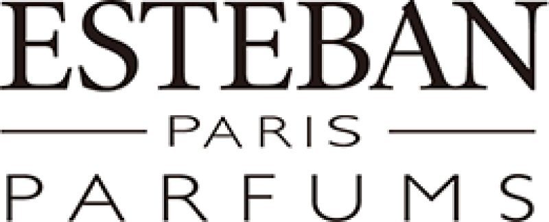 画像2: ESTEBANお香立て (2)