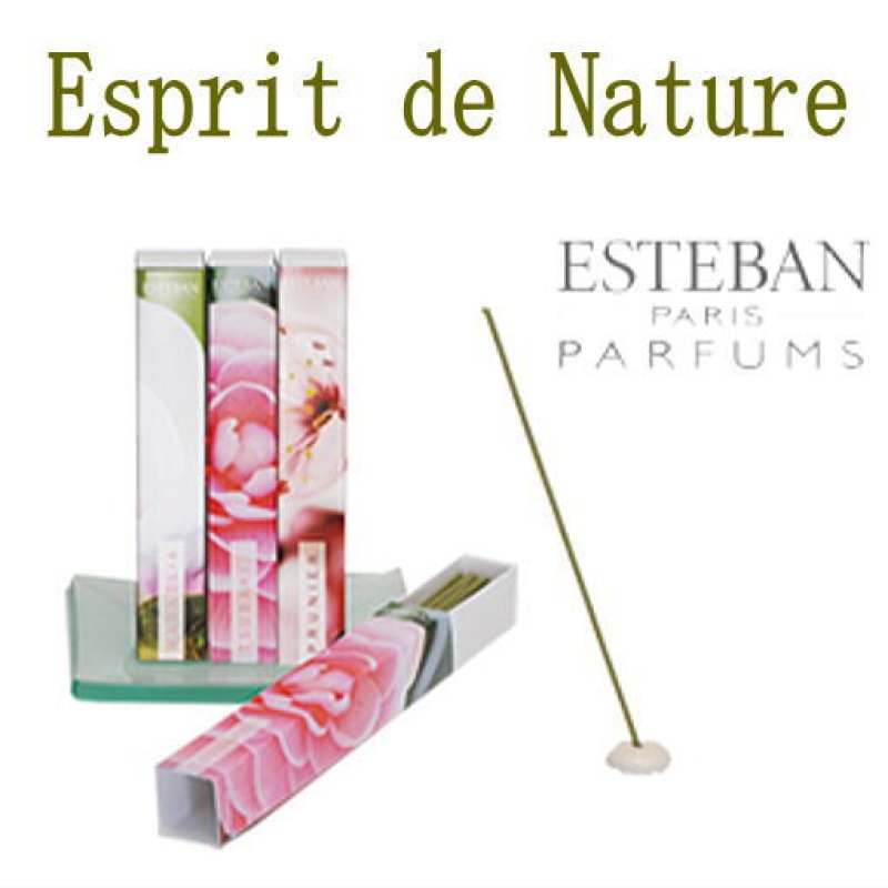 画像1: お香　インセンス　エスプリド・ナチュール (1)