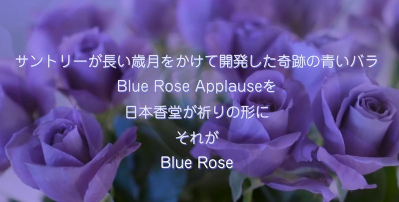 画像10: 花風PLATINA ブルーローズ (10)