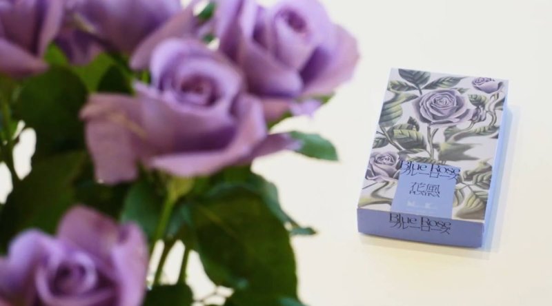 画像12: 花風PLATINA ブルーローズ (12)